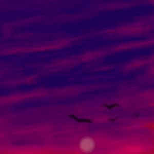 Sunriseeee____Sunset_by_snowballsweets.png